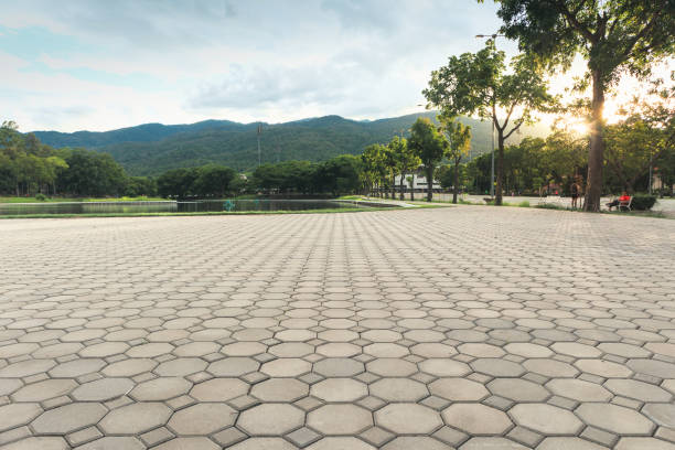 Best Permeable Paver Driveway  in Andrews, NC