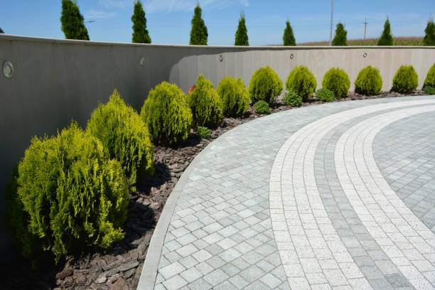 Best Best Driveway Pavers  in Andrews, NC